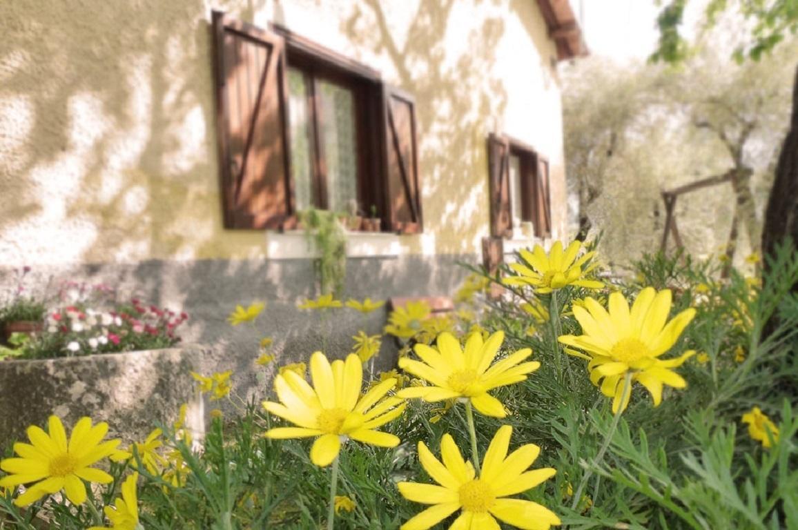 Agriturismo Macchiapiede Sala Consilina Exterior photo
